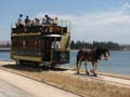 Granite Island Tram